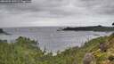 ./images/calvert/foggy-cove/20260902/foggy-cove20260902_140501M.jpg