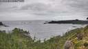 ./images/calvert/foggy-cove/20260902/foggy-cove20260902_142001M.jpg