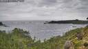 ./images/calvert/foggy-cove/20260902/foggy-cove20260902_142501M.jpg