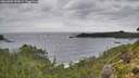 ./images/calvert/foggy-cove/20260902/foggy-cove20260902_143001M.jpg
