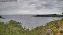 ./images/calvert/foggy-cove/20260902/foggy-cove20260902_143501M.jpg