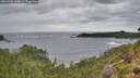 ./images/calvert/foggy-cove/20260902/foggy-cove20260902_144001M.jpg
