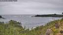 ./images/calvert/foggy-cove/20260902/foggy-cove20260902_150502M.jpg