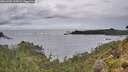 ./images/calvert/foggy-cove/20260902/foggy-cove20260902_153002M.jpg