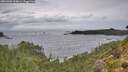 ./images/calvert/foggy-cove/20260902/foggy-cove20260902_154001M.jpg
