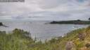 ./images/calvert/foggy-cove/20260902/foggy-cove20260902_160501M.jpg