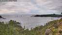 ./images/calvert/foggy-cove/20260902/foggy-cove20260902_163002M.jpg