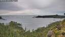 ./images/calvert/foggy-cove/20260902/foggy-cove20260902_165001M.jpg