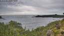 ./images/calvert/foggy-cove/20260902/foggy-cove20260902_170501M.jpg