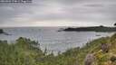 ./images/calvert/foggy-cove/20260902/foggy-cove20260902_174001M.jpg