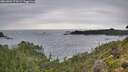 ./images/calvert/foggy-cove/20260902/foggy-cove20260902_174501M.jpg