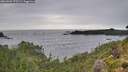 ./images/calvert/foggy-cove/20260902/foggy-cove20260902_175501M.jpg