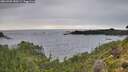 ./images/calvert/foggy-cove/20260902/foggy-cove20260902_180501M.jpg