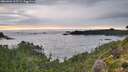 ./images/calvert/foggy-cove/20260902/foggy-cove20260902_195501M.jpg