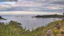 ./images/calvert/foggy-cove/20260903/foggy-cove20260903_083002M.jpg
