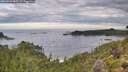 ./images/calvert/foggy-cove/20260903/foggy-cove20260903_083501M.jpg