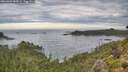 ./images/calvert/foggy-cove/20260903/foggy-cove20260903_084501M.jpg