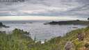 ./images/calvert/foggy-cove/20260903/foggy-cove20260903_085501M.jpg