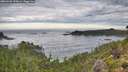 ./images/calvert/foggy-cove/20260903/foggy-cove20260903_090001M.jpg