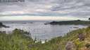 ./images/calvert/foggy-cove/20260903/foggy-cove20260903_090501M.jpg