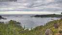 ./images/calvert/foggy-cove/20260903/foggy-cove20260903_091002M.jpg