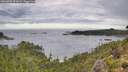 ./images/calvert/foggy-cove/20260903/foggy-cove20260903_093001M.jpg