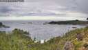 ./images/calvert/foggy-cove/20260903/foggy-cove20260903_093501M.jpg