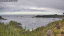./images/calvert/foggy-cove/20260903/foggy-cove20260903_094001M.jpg