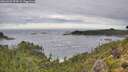 ./images/calvert/foggy-cove/20260903/foggy-cove20260903_094501M.jpg