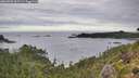 ./images/calvert/foggy-cove/20260903/foggy-cove20260903_095501M.jpg