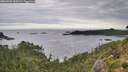 ./images/calvert/foggy-cove/20260903/foggy-cove20260903_100501M.jpg