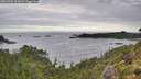 ./images/calvert/foggy-cove/20260903/foggy-cove20260903_101002M.jpg