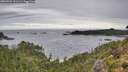 ./images/calvert/foggy-cove/20260903/foggy-cove20260903_101501M.jpg