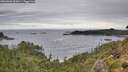 ./images/calvert/foggy-cove/20260903/foggy-cove20260903_102001M.jpg