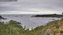 ./images/calvert/foggy-cove/20260903/foggy-cove20260903_102501M.jpg