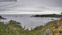 ./images/calvert/foggy-cove/20260903/foggy-cove20260903_103001M.jpg