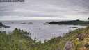 ./images/calvert/foggy-cove/20260903/foggy-cove20260903_103501M.jpg