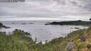 ./images/calvert/foggy-cove/20260903/foggy-cove20260903_104001M.jpg