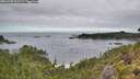 ./images/calvert/foggy-cove/20260903/foggy-cove20260903_111501M.jpg