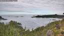 ./images/calvert/foggy-cove/20260903/foggy-cove20260903_114501M.jpg