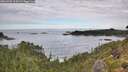 ./images/calvert/foggy-cove/20260903/foggy-cove20260903_115001M.jpg