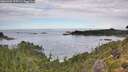 ./images/calvert/foggy-cove/20260903/foggy-cove20260903_115501M.jpg