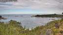 ./images/calvert/foggy-cove/20260903/foggy-cove20260903_120501M.jpg