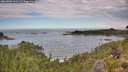./images/calvert/foggy-cove/20260903/foggy-cove20260903_121501M.jpg