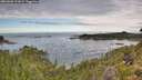 ./images/calvert/foggy-cove/20260903/foggy-cove20260903_131001M.jpg