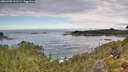 ./images/calvert/foggy-cove/20260903/foggy-cove20260903_131501M.jpg