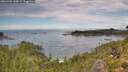 ./images/calvert/foggy-cove/20260903/foggy-cove20260903_133002M.jpg