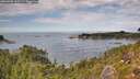 ./images/calvert/foggy-cove/20260903/foggy-cove20260903_135501M.jpg