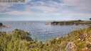 ./images/calvert/foggy-cove/20260903/foggy-cove20260903_141001M.jpg