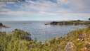 ./images/calvert/foggy-cove/20260903/foggy-cove20260903_141501M.jpg